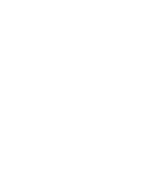 白い線で描かれた旗のイラスト