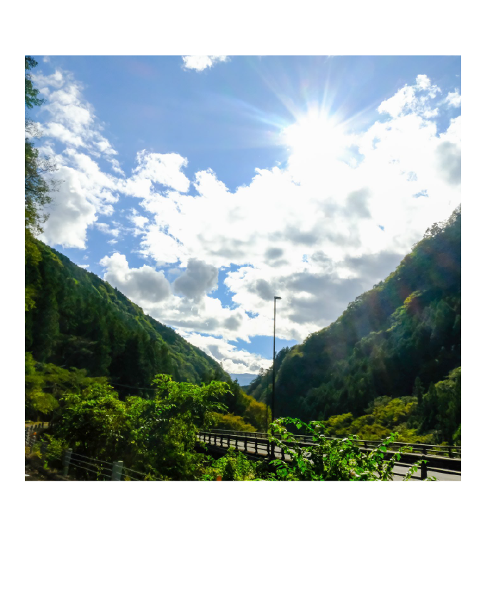 久万高原町の山間を走る道路と眩しい太陽。青空と新緑が美しい