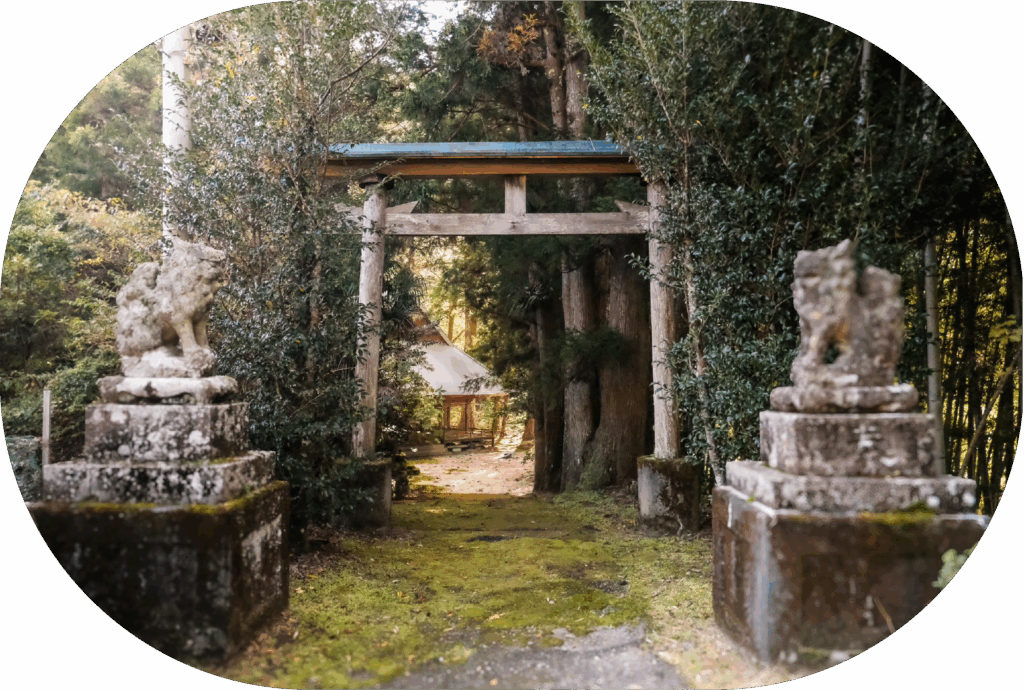 久万高原町にある神社の鳥居と石像が並ぶ苔むした参道