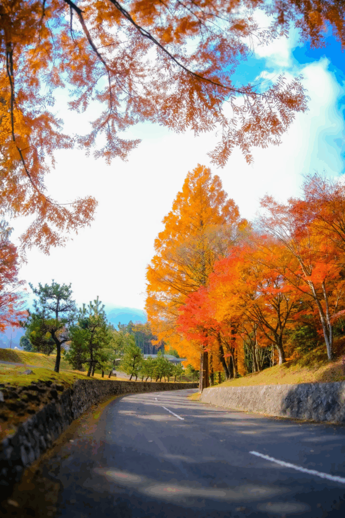 鮮やかな紅葉が彩る美しい山間の道路の写真